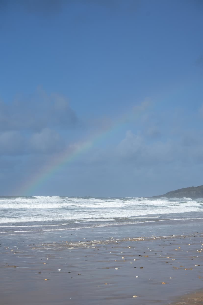 Featured Photography