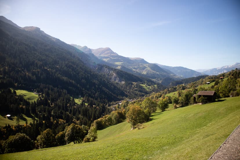 Featured Photography